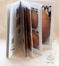 CHRISTINE WOOLLEY (Silver Lining Art Dolls) NEW BLONDE Hair Painting Tutorial BOOK ONLY