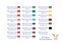 Silicone Pigment SINGLE COLOUR JAR  - Enfis Nature Colours 20ml