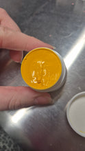 Heat Set Reborn Paint: Alva & Go 5ml